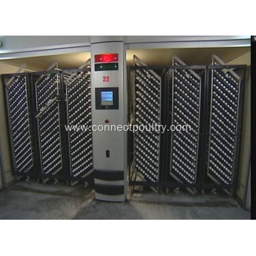 Poultry Farms Automatic Incubator